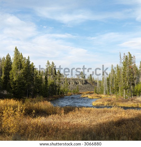 Landscape with stream and field in Yellowstone National Park, Wyoming.