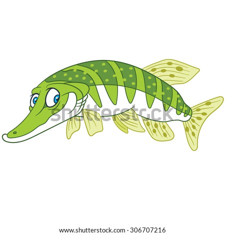 Pike fish. Cartoon character isolated on white background. Colorful design for kids activity book, coloring page, colouring picture. Vector illustration for children.