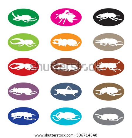 Vector group of insects on white background.