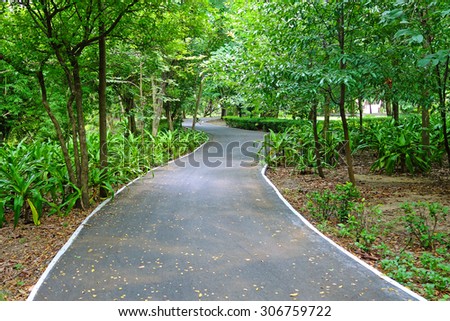 Bicycle Lane in a park