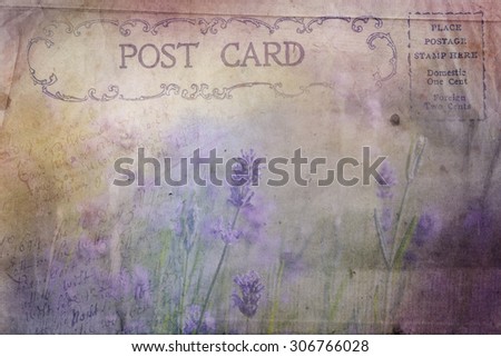 Old post card, lavender flower background, vintage, grunge