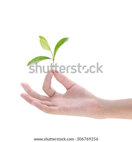 Hand holding plant isolated on white background,Earth Day concept