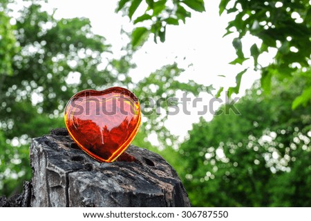 Heart shape of red glass on timber in the park on blurred tree background