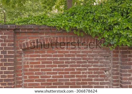 Red brick wall and green leaves