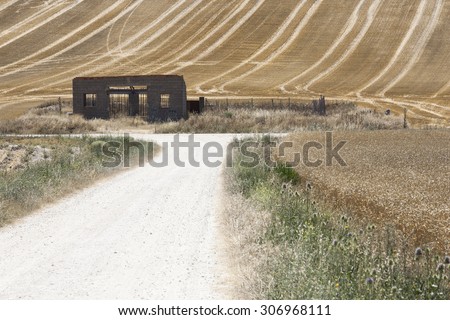 Abandoned building in harvested farmland