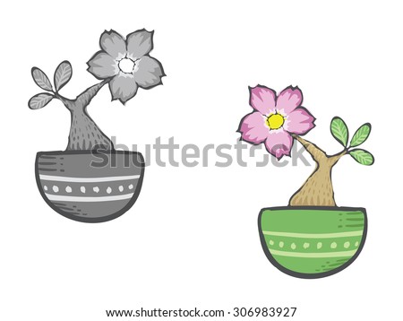 Desert rose flower. Cute cartoon flower in pot. Vector drawing in doodle style.
