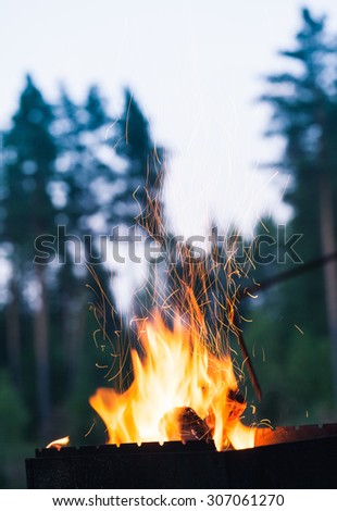 Abstract close-up photo of flames. Camp fire photo with shallow depth of field. Macro photo of fire with shallow depth of field.