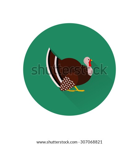 Vector flat icon of turkey with long shadow. Element for design.