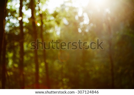  vintage retro blurred forest landscape with leaks and bokeh