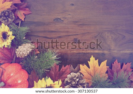 Autumn Fall rustic background on vintage distressed dark wood with autumn leaves and decorations with added retro vintage style filters. 