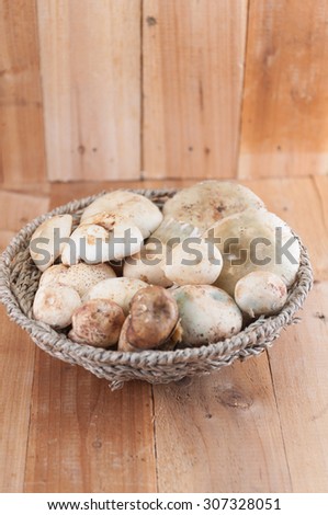 Russula mushrooms on  wooden table.Very shallow Depth of Field, for soft background.