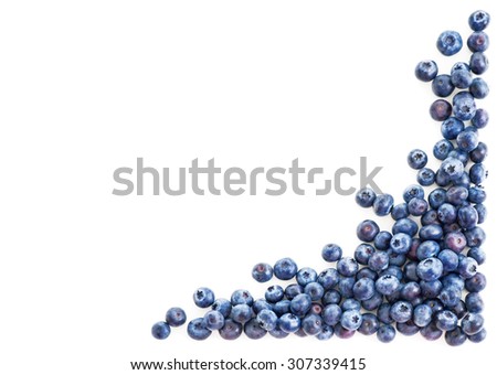 Blueberry frame corner isolated on white background