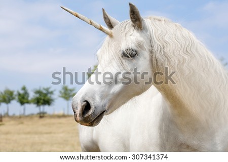 Unicorn realistic photography Royalty-Free Stock Photo #307341374