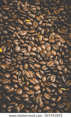 Brown coffee beans, close-up of coffee beans