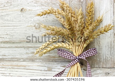 Bunch of cereal ryes on old white wooden background