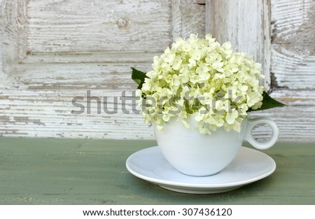 Card with bouquet of hydrangea in a cup: green and white color