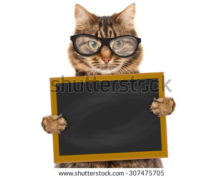 Cat with blackboard and sign 