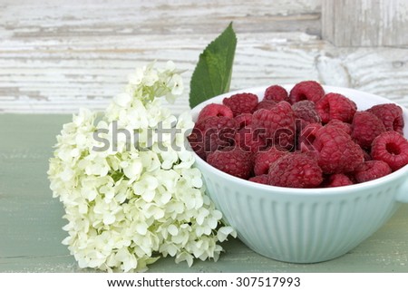 Tureen with red raspberries with white hydrangea on green and white wooden background