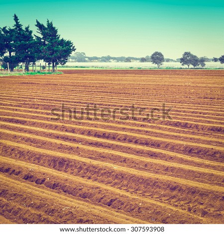 Plowed Fields on the Background of Greenhouse in Italy, Instagram Effect