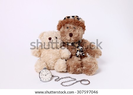 couples teddy bear on white background