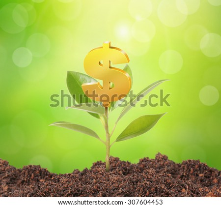 Money growing on tree, Dollar signs