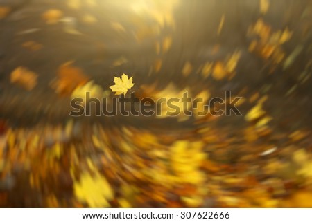 Falling leaves background with radial vortex blur effect. Freeze moment. Autumn season dynamic picture