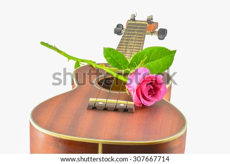 Pink rose on acoustic guitar 