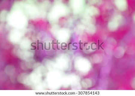 The abstract background of natural light bokeh 