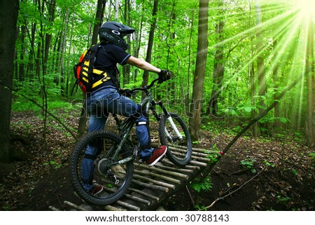 bicyclist in wood