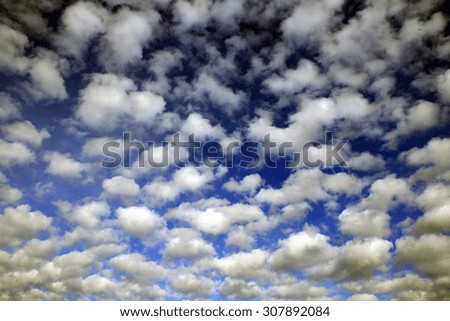 landscape beautiful cumulus clouds against a blue sky on a sunny day