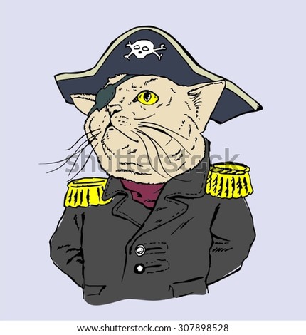 Cat in the costume of a pirate captain