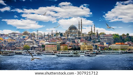 Istanbul the capital of Turkey, eastern tourist city. Royalty-Free Stock Photo #307921712