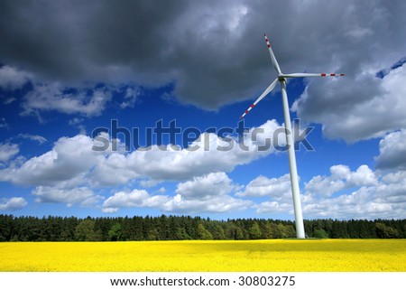 Windmill farm on the rapeseed field