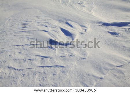 Winter scenery Snow texture, closeup of photo