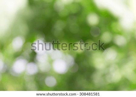 abstract bokeh background of natur
