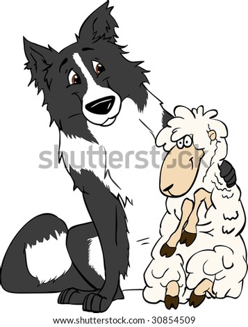border collie and sheep are friends vector illustration