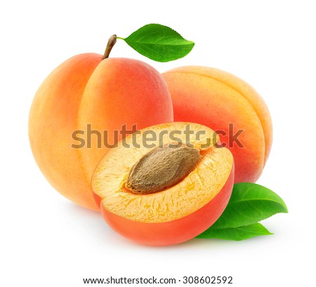 Isolated apricot. Fresh cut apricot fruits isolated on white background, with clipping path Royalty-Free Stock Photo #308602592