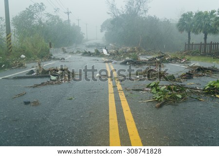 Debri blocking road during a typhoon Royalty-Free Stock Photo #308741828