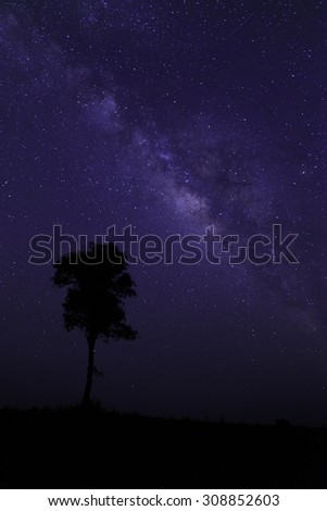 milky way galaxy and sillhuette tree