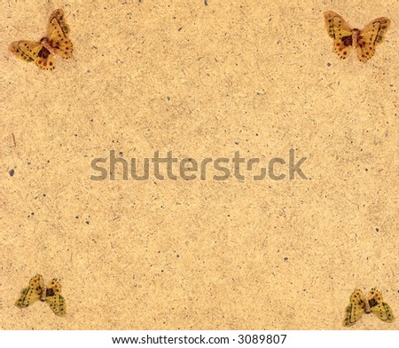 Sheet of the old paper which has turned yellow from time. On a sheet there is a dried butterflies. The picture is convenient for drawing on it of the text or images.