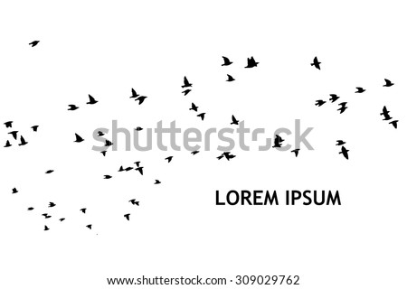 A flock of flying birds. starlings. vector