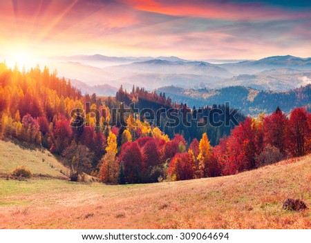 Colorful autumn sunrise in the Carpathian mountains. Sokilsky ridge, Ukraine, Europe.