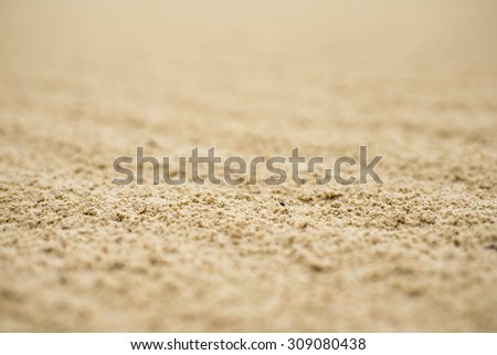 Sandy beach background for summer. Sand texture. Macro shot. 