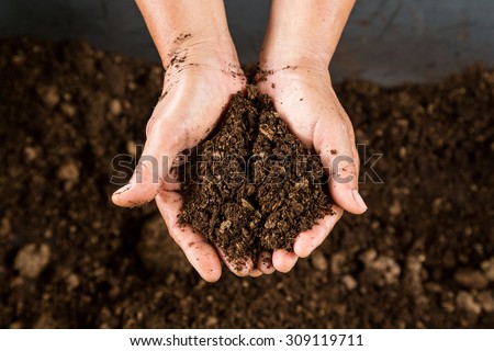 close up hand holding soil peat moss Royalty-Free Stock Photo #309119711