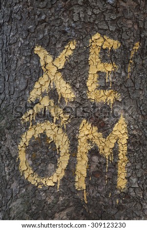 Sign of motor taxi or motorcyclist (Xe Om in Vietnamese) on a tree in Hanoi, Vietnam. Royalty-Free Stock Photo #309123230