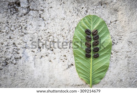 coffee beans and leaf