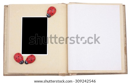 Photo frame with photos and lady bug