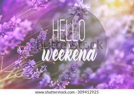 Lavender background. Inspirational quote with vintage filter. Inspirational Typographic Quote - Hello weekend Royalty-Free Stock Photo #309412925