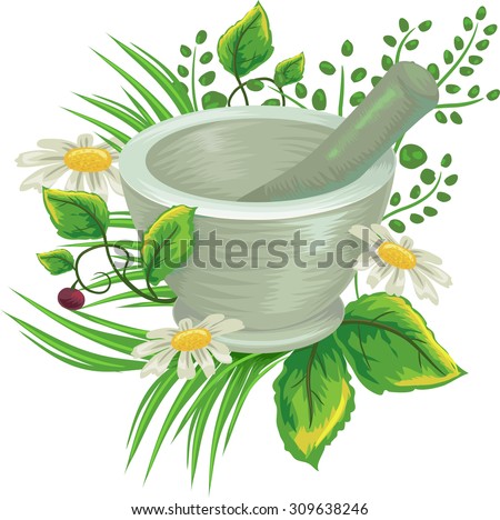 Illustration of Herbs Surrounding a Mortar and Pestle Royalty-Free Stock Photo #309638246