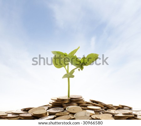Concept of money and living plant